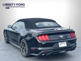 Used 2022 Ford Mustang Premium image 3