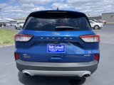 Used 2022 Ford Escape SE w/ Cold Weather Package image 5