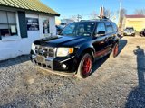 Used 2012 Ford Escape Limited image 2