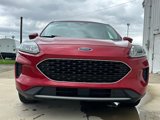Used 2020 Ford Escape SE image 2