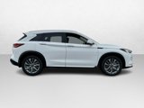 New 2025 INFINITI QX50 Luxe image 2