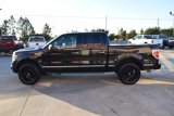 Used 2014 Ford F150 Platinum image 5