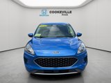 Used 2020 Ford Escape SE image 2