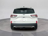 Used 2022 Ford Escape Titanium w/ Titanium Elite Package image 5