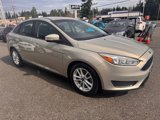 Used 2016 Ford Focus SE w/ Reverse Sensing Package image 3