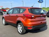Used 2019 Ford Escape S image 6