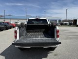 Used 2019 Ford F150 XLT w/ Equipment Group 302A Luxury image 5
