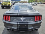 Used 2019 Ford Mustang Premium w/ Equipment Group 201A image 6