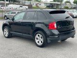 Used 2014 Ford Edge SEL w/ Equipment Group 205A image 5