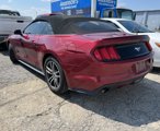 Used 2016 Ford Mustang Premium image 4