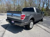 Used 2014 Ford F150 Platinum image 3