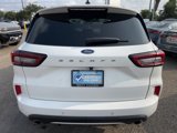 Used 2024 Ford Escape ST-Line w/ Tech Pack #1 image 6