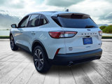Certified 2022 Ford Escape SEL w/ SEL Stealth AWD Package image 4