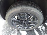 New 2025 GMC Terrain Elevation w/ Black Edition image 5