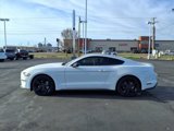 Used 2022 Ford Mustang Premium w/ Equipment Group 201A image 5