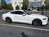 Used 2019 Ford Mustang Coupe w/ Ecoboost Performance Package image 2