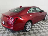 Certified 2021 Cadillac CT4 Premium Luxury image 5