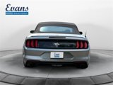 Used 2020 Ford Mustang Premium w/ Equipment Group 201A image 4