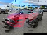 View Video