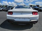 New 2025 Ford Mustang Coupe image 5