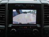 Used 2020 Ford F150 XLT w/ Equipment Group 302A Luxury image 5