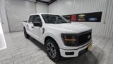 New 2025 Ford F150 STX image 2