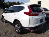 Used 2019 Honda CR-V EX-L image 5