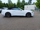 Used 2020 Ford Mustang Premium image 4