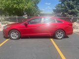 Used 2017 Hyundai Sonata SE image 4