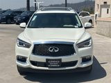 Used 2020 INFINITI QX60 Luxe w/ Sensory Package image 2