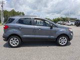 Used 2020 Ford EcoSport SE image 3