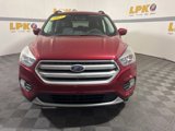 Used 2017 Ford Escape SE w/ Equipment Group 201A image 2