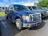 Used 2010 Ford F150 4x4 SuperCab image 2