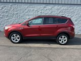 Used 2016 Ford Escape SE w/ SE Leather Comfort Package image 1
