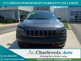 Used 2020 Jeep Cherokee Trailhawk w/ Cold Weather Group image 2