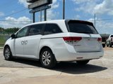 Used 2014 Honda Odyssey EX image 5
