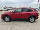 Used 2022 Ford Escape SE w/ Cold Weather Package image 4