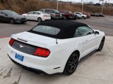 Used 2022 Ford Mustang Premium image 5