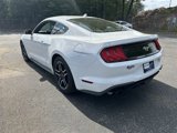 Used 2021 Ford Mustang Coupe w/ Equipment Group 101A image 5