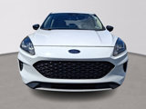 Used 2020 Ford Escape SE Sport image 2