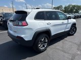 Used 2019 Jeep Cherokee Trailhawk w/ Cold Weather Group image 4