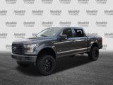 Used 2016 Ford F150 XLT w/ Equipment Group 302A Luxury image 5