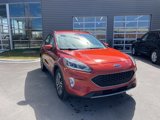 Used 2020 Ford Escape SEL image 3