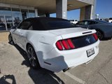 Used 2016 Ford Mustang Convertible w/ Equipment Group 051A image 4