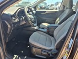 Used 2022 Ford Escape SE image 4