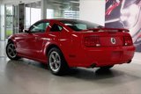 Used 2006 Ford Mustang GT image 4
