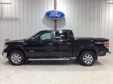 Used 2014 Ford F150 Lariat w/ Equipment Group 502A Luxury image 4