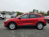 New 2025 Ford Escape Active w/ Tech Pack #1 image 4