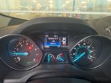 Used 2013 Ford Escape SEL image 4