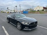 Used 2015 Ford Mustang Premium w/ Ecoboost Performance Package image 3